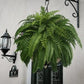 UV-Resistant Artificial Boston Fern for Indoor and Outdoor Display