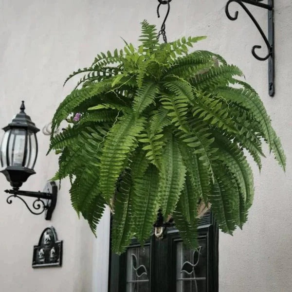 UV-Resistant Artificial Boston Fern for Indoor and Outdoor Display