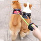Anti-Tangle Double Dog Leash for Walking Two Dogs Simultaneously