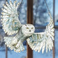 Hummingbird Suncatcher Decorative Hanging Light Catcher