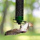 Bird Feeder with Squirrel Deterrent Design for Wild Birds
