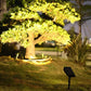 Solar LED Spotlight with Adjustable Zoom and RGB Color Modes, IP65 Outdoor