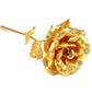 Preserved Real Rose with Gold Foil Coating and Display Box