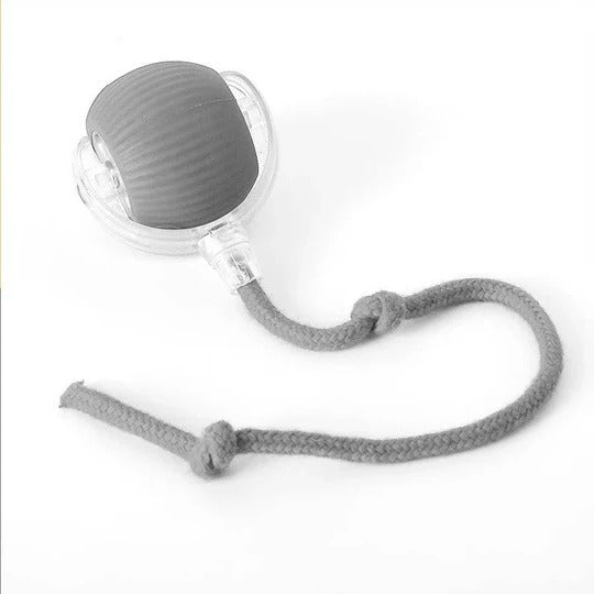 Active Motion-Activated Rolling Ball Toy with Tail Attachment