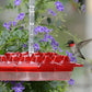 Hummingbird Feeder With Ant Moat for Easy, Pest-Free Nectar Feeding