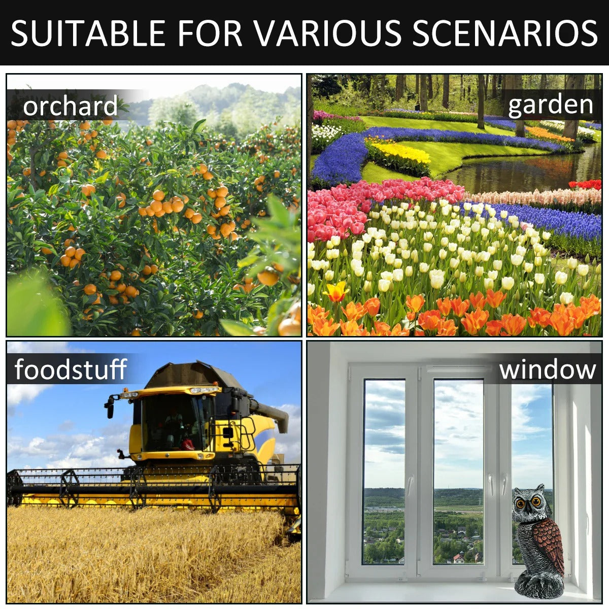 Realistic Outdoor Owl Decoy Set With Rotating Head