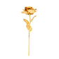 Preserved Real Rose with Gold Foil Coating and Display Box