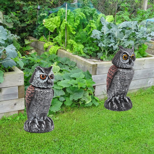 Realistic Outdoor Owl Decoy Set With Rotating Head