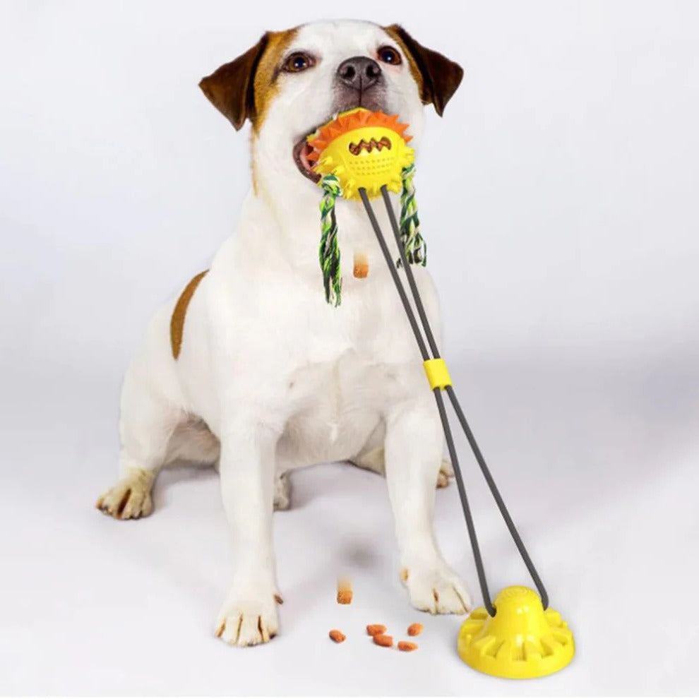Self Moving Pet Toy with Chew Bars and Rolling Action for All Sizes