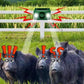 Solar Animal Deterrent Light with Flashing Spotlight and Alarm for Gardens