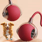 Motion-Activated Rolling Ball Toy for Dogs