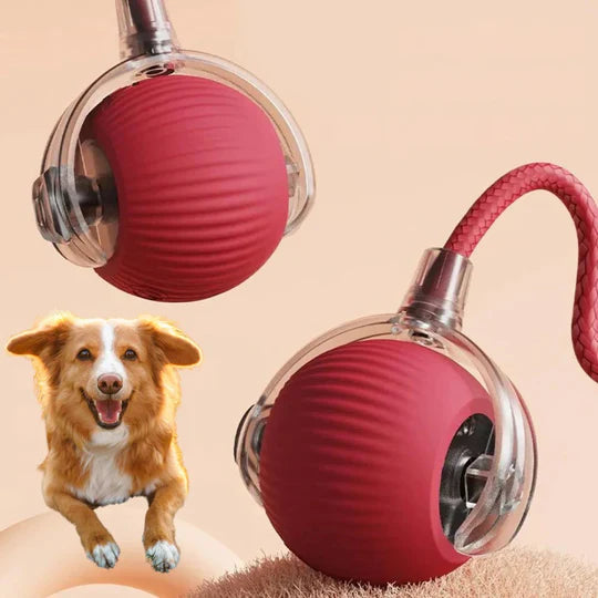 Motion-Activated Rolling Ball Toy for Dogs