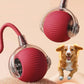 Active Motion-Activated Rolling Ball Toy with Tail Attachment