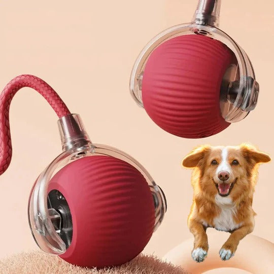 Active Motion-Activated Rolling Ball Toy with Tail Attachment
