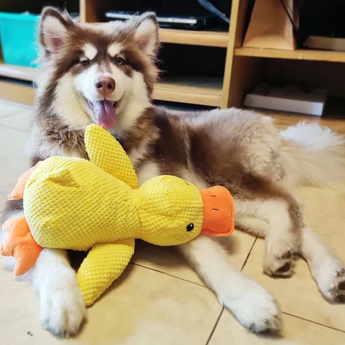Duck Plush Dog Toy with Low-Frequency Quack and Reinforced Seams, Soft Polyester