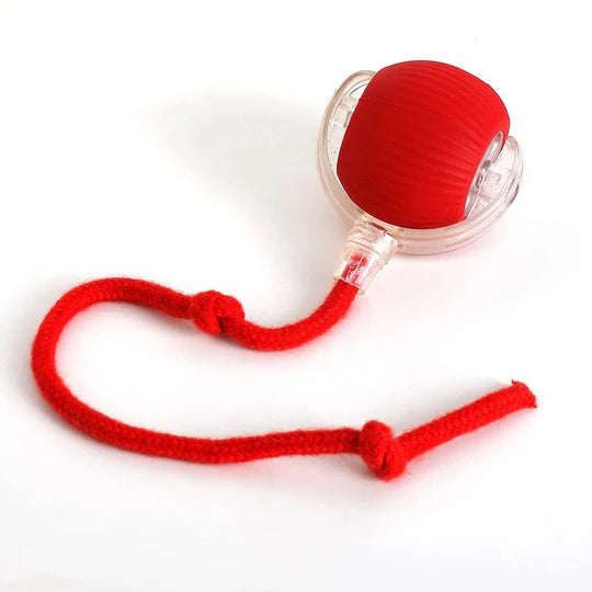 Motion-Activated Rolling Ball Toy for Dogs