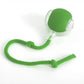 Motion-Activated Rolling Ball Toy for Dogs