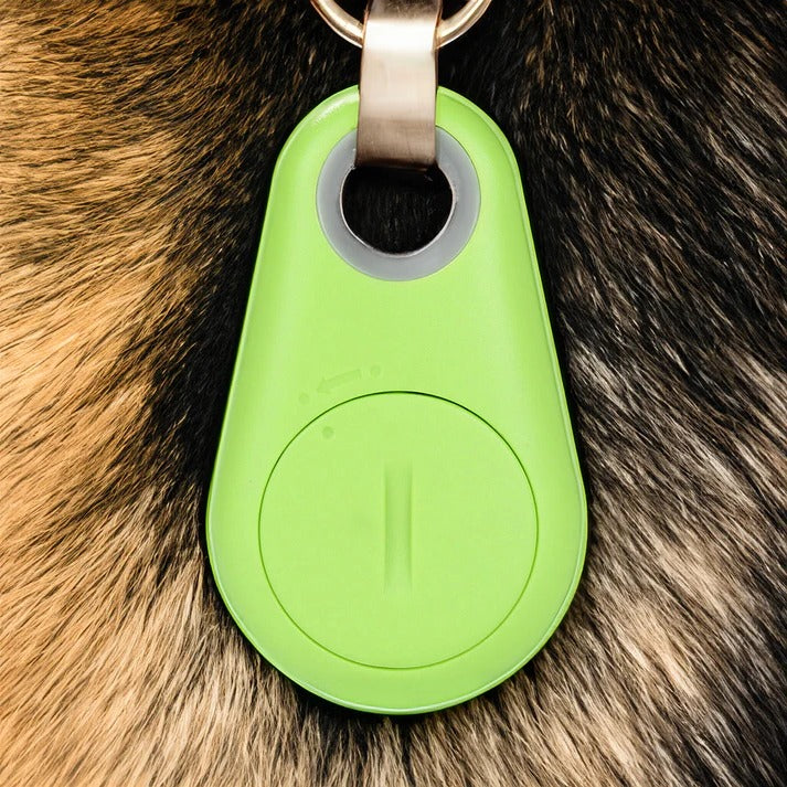 Bluetooth Pet Tracker with Real-Time Location and Proximity Alerts, 6-Month Battery