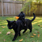 Headless Horseman Pet Costume, Halloween Costume for Cats and Dogs, Parties and Dress Up