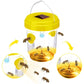 6 Packs Solar Wasp & Bee Trap with UV, Reusable, Outdoor