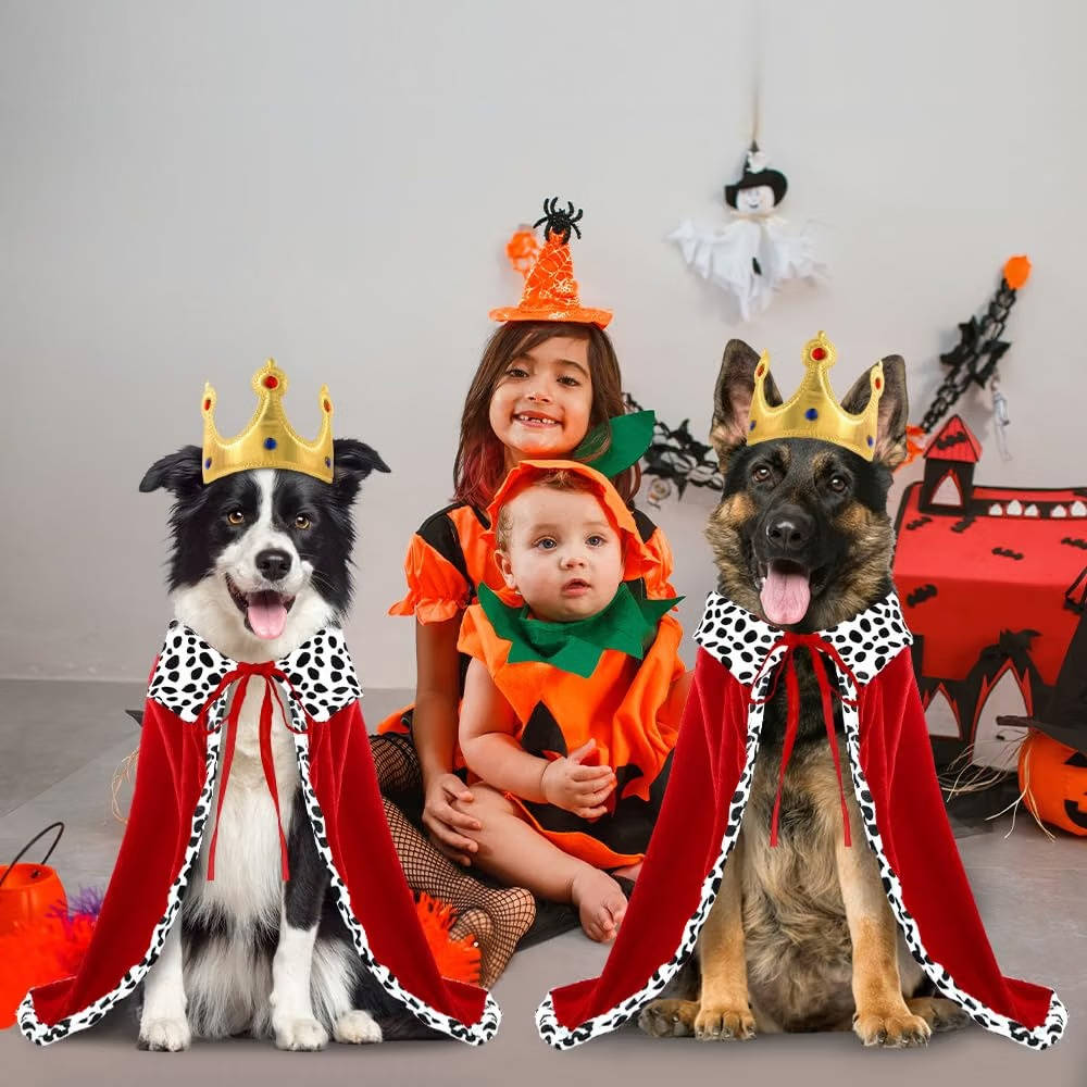 Halloween Dog King Costume, Royal Cape with Crown for Medium and Large Dogs, Pet Costume for Parties