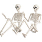 2 Pack 36 Inch Halloween Skeleton Decorations, Movable Joint Skeletons for Haunted Houses, Front Lawn and Graveyard Props