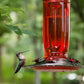 Glass Hummingbird Feeder for Outdoors, Wild Bird Feeder with 6 Feeding Ports for Garden Yard