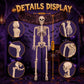 2 Pack 36 Inch Halloween Skeleton Decorations, Movable Joint Skeletons for Haunted Houses, Front Lawn and Graveyard Props