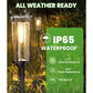 Solar Pathway Lights Outdoor for Lawn Patio Walkway Driveway, Waterproof, Auto On/Off