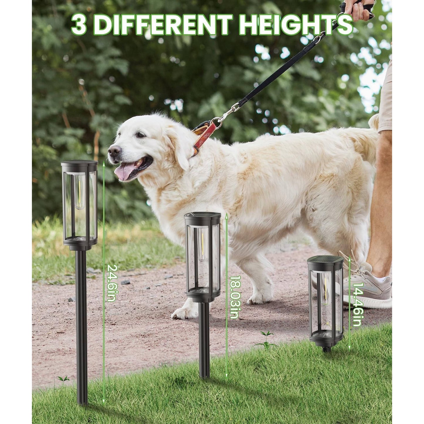 Solar Pathway Lights Outdoor for Lawn Patio Walkway Driveway, Waterproof, Auto On/Off