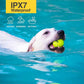 Shock Collar for Small Dogs, Dog Training Collar with Remote, Waterproof Rechargeable Collar