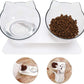 Anti Vomiting Cat Bowl Elevated, Orthopedic Pet Feeding Bowl for Cats Reduces Vomiting Healthy Eating