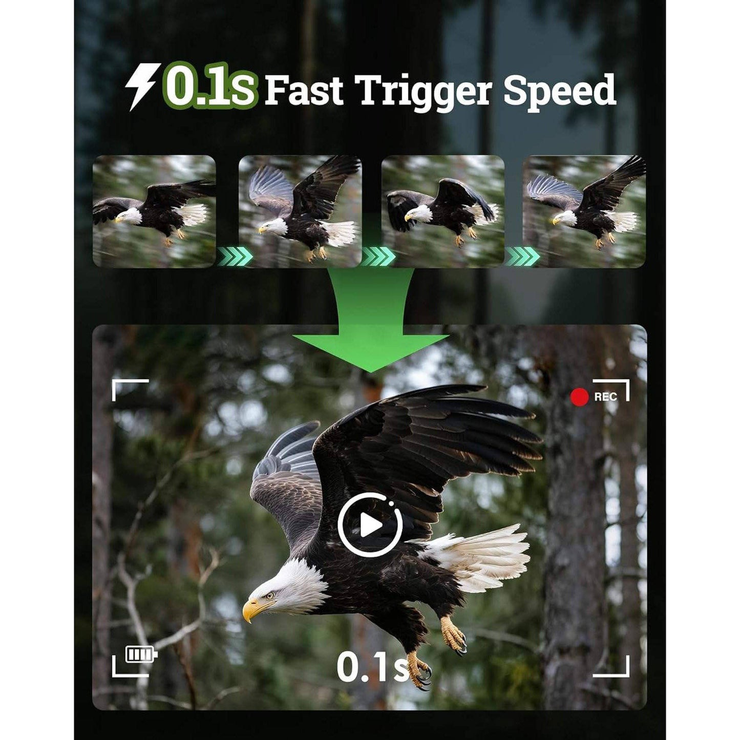 Deer Trail Camera 4K 64MP, Solar WiFi Bluetooth Game Camera with Night Vision, Motion Activated IP66, 6000mAh Battery