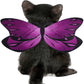 Bat Wings Costume Accessory with Adjustable Dual Straps for Cats and Small Dogs