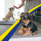 Door Mat, Super Absorbent Indoor/Outdoor Mud Scraper, Non-Slip Washable Entrance Rug