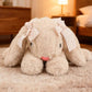 Cute Bunny realistic Plush Toy, Lop Eared Rabbit Stuffed Animal