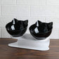 Anti Vomiting Cat Bowl Elevated, Orthopedic Pet Feeding Bowl for Cats Reduces Vomiting Healthy Eating