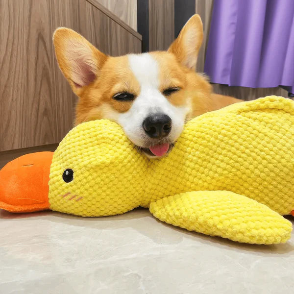 Calming Durable Duck Toy for Dogs
