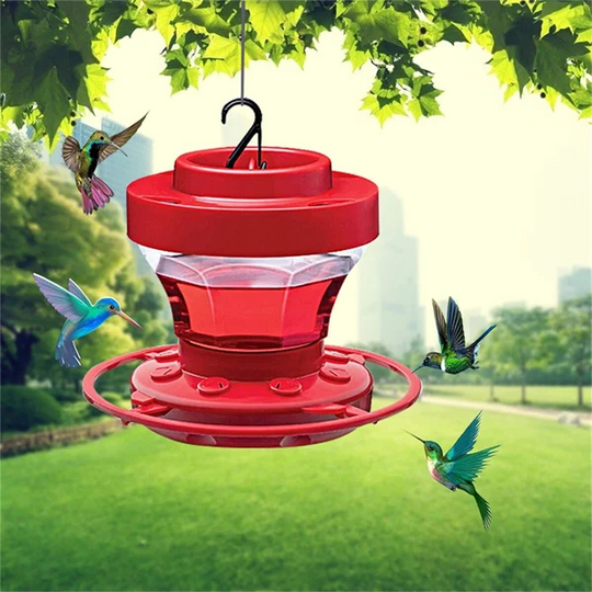 Hummingbird Water Feeder with Perch, Hanging Bee Proof