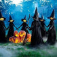 Lighted Halloween Witch Stake for Outdoor Halloween Decorations