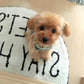 Lifelike Plush Puppy with Weighted Filling and Sculpted Paws, Soft Fur, 14-Inch