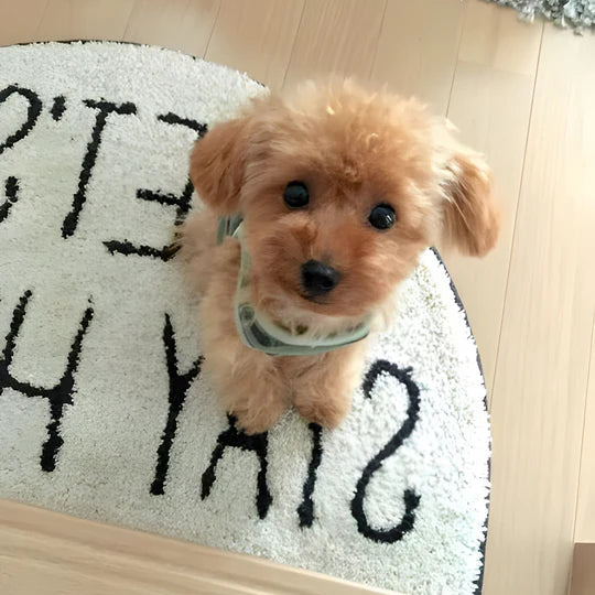 Realistic Plush Puppy Dog, Lifelike Teddy Dog Lucky