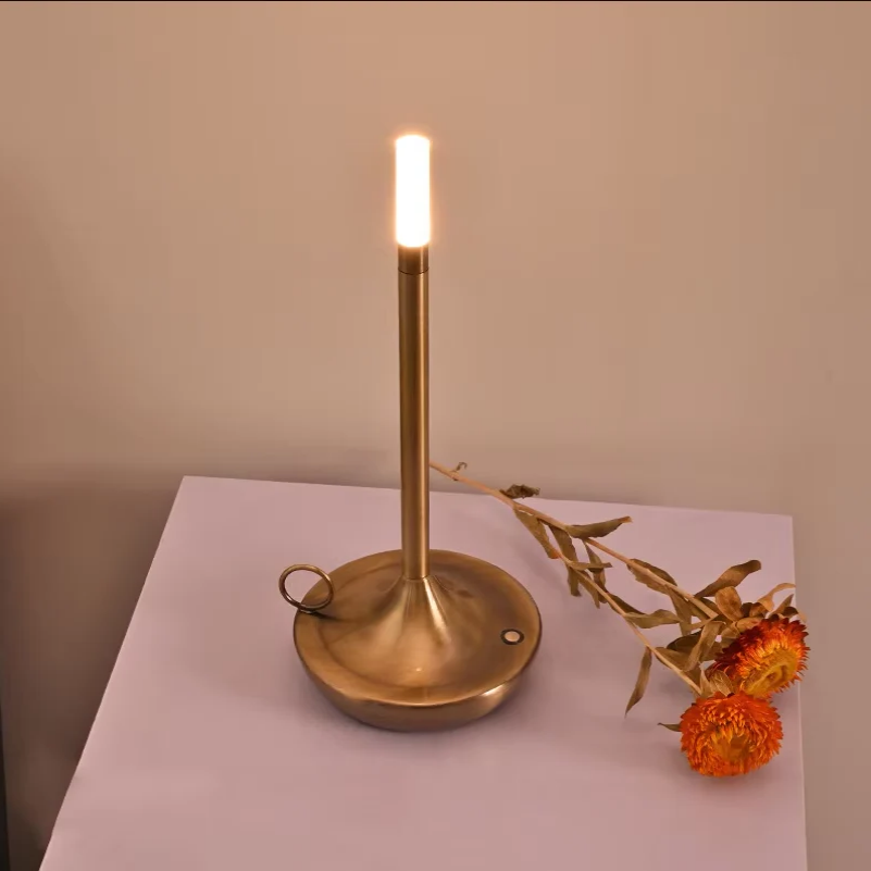 Touch Control LED Table Lamp with 12-Hour Battery and Warm White Light