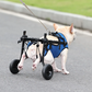 Adjustable Pet Wheelchair with Hind Leg Support and Secure Bracket, Dogs Cats
