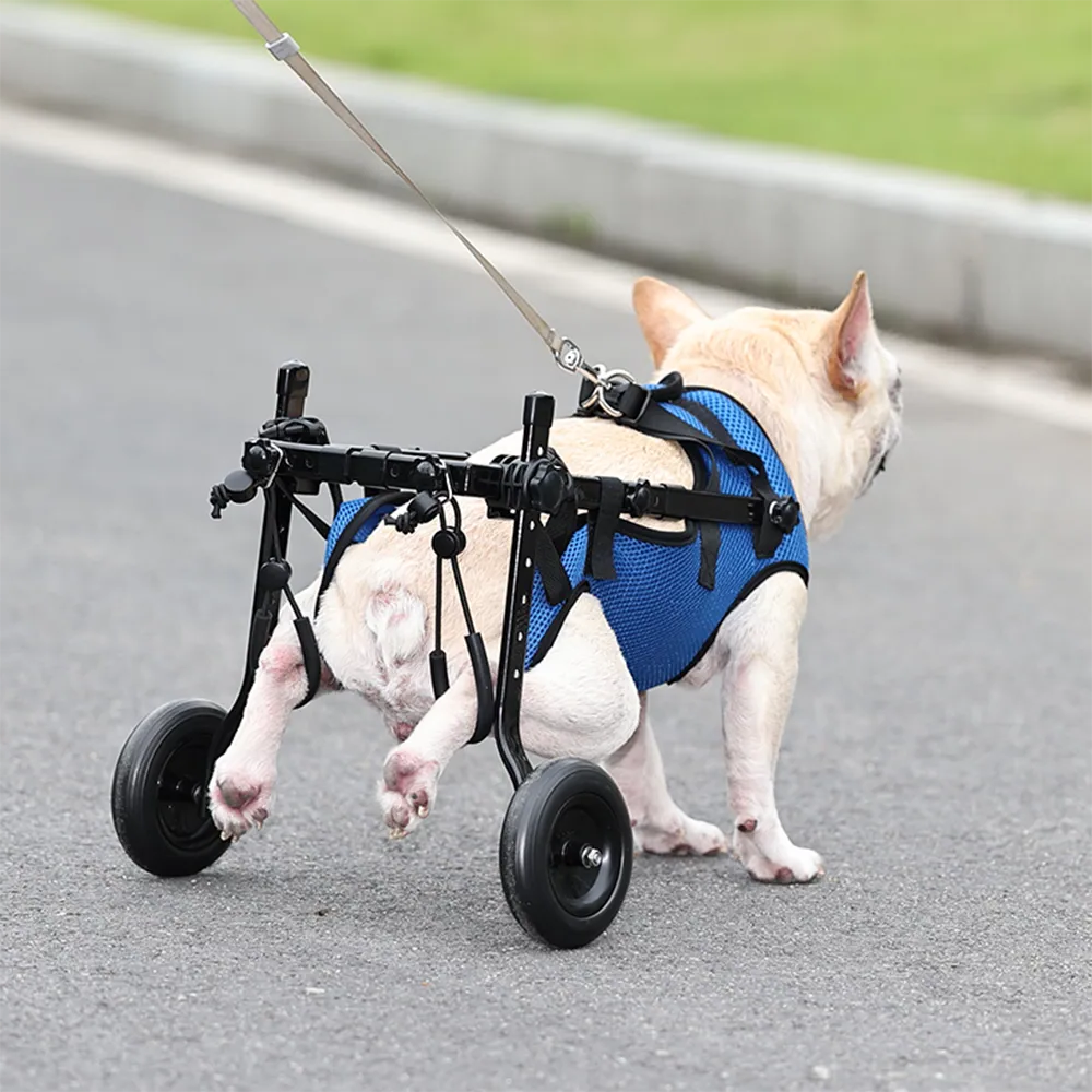 Adjustable Pet Wheelchair with Hind Leg Support and Secure Bracket, Dogs Cats