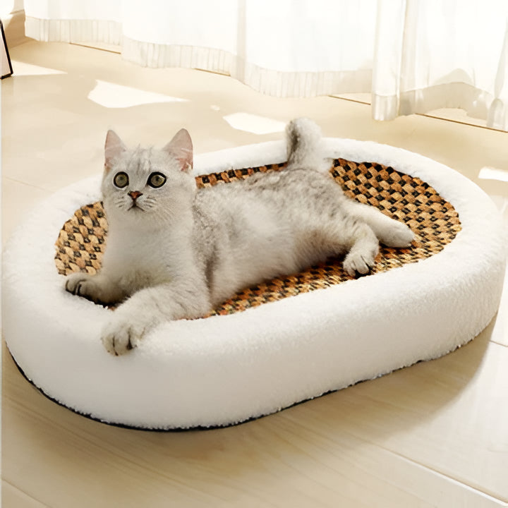 Cat Scratch Lounge Bed with Cushioned Sleeping Area and Textured Surface