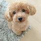 Lifelike Plush Puppy with Weighted Filling and Sculpted Paws, Soft Fur, 14-Inch