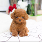 Lifelike Plush Puppy with Weighted Filling and Sculpted Paws, Soft Fur, 14-Inch