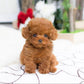 Realistic Plush Puppy Dog, Lifelike Teddy Dog Lucky