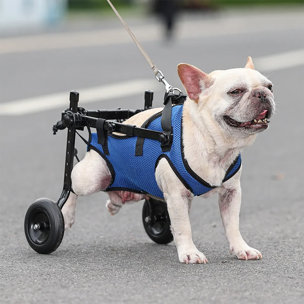 Adjustable Pet Wheelchair with Hind Leg Support and Secure Bracket, Dogs Cats